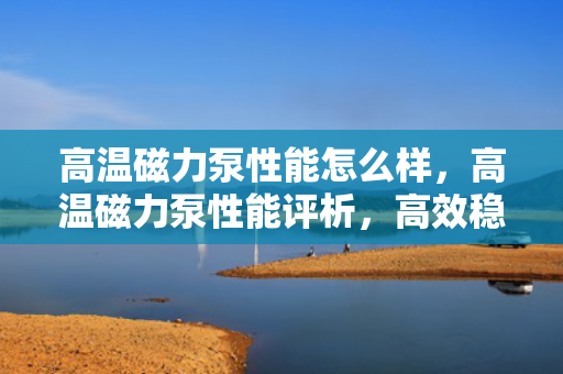 高温磁力泵性能怎么样，高温磁力泵性能评析，高效稳定，满足高温工况需求