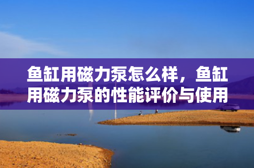 鱼缸用磁力泵怎么样，鱼缸用磁力泵的性能评价与使用体验