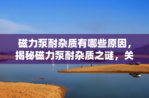磁力泵耐杂质有哪些原因，揭秘磁力泵耐杂质之谜，关键因素解析