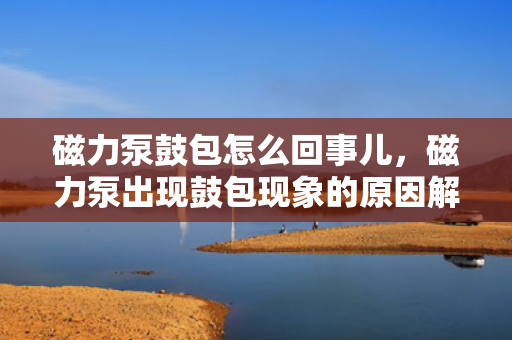 磁力泵鼓包怎么回事儿，磁力泵出现鼓包现象的原因解析