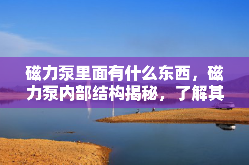磁力泵里面有什么东西，磁力泵内部结构揭秘，了解其中的核心部件与工作原理