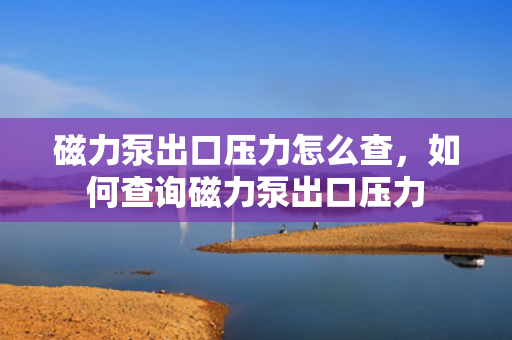 磁力泵出口压力怎么查，如何查询磁力泵出口压力