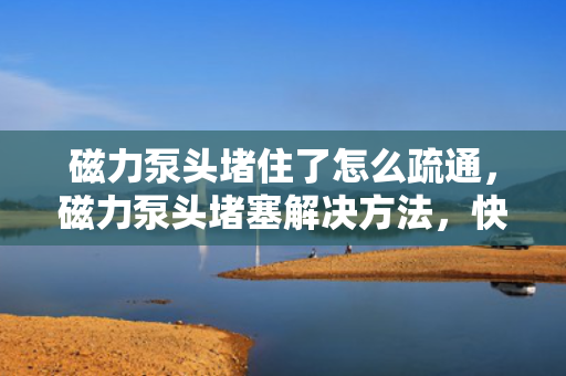 磁力泵头堵住了怎么疏通，磁力泵头堵塞解决方法，快速疏通指南