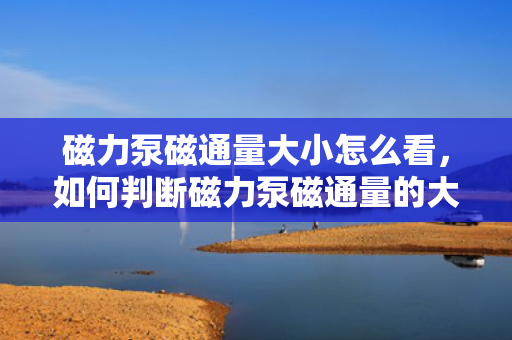 磁力泵磁通量大小怎么看，如何判断磁力泵磁通量的大小