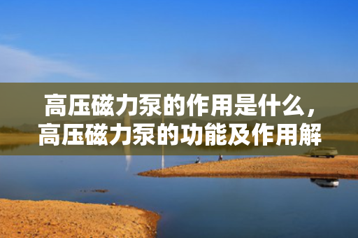 高压磁力泵的作用是什么，高压磁力泵的功能及作用解析