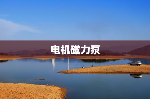 电机磁力泵