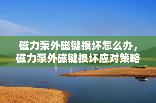 磁力泵外磁键损坏怎么办，磁力泵外磁键损坏应对策略