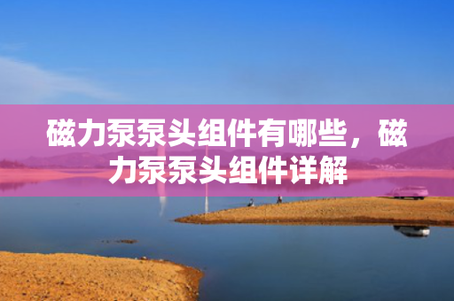 磁力泵泵头组件有哪些，磁力泵泵头组件详解