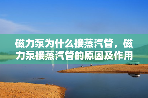 磁力泵为什么接蒸汽管，磁力泵接蒸汽管的原因及作用解析