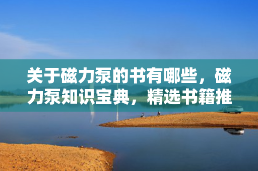关于磁力泵的书有哪些，磁力泵知识宝典，精选书籍推荐