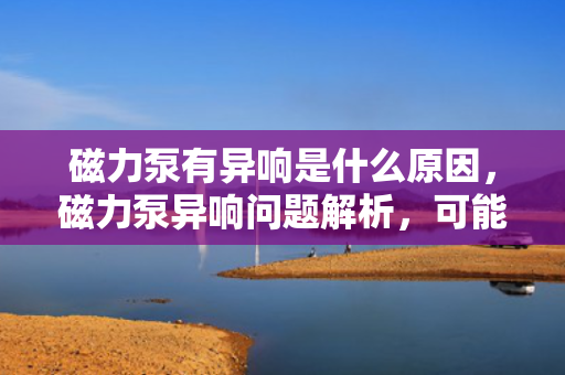 磁力泵有异响是什么原因，磁力泵异响问题解析，可能的原因与解决方案