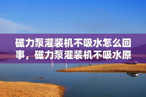 磁力泵灌装机不吸水怎么回事，磁力泵灌装机不吸水原因解析