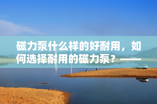 磁力泵什么样的好耐用，如何选择耐用的磁力泵？——优质磁力泵的特点与选购指南