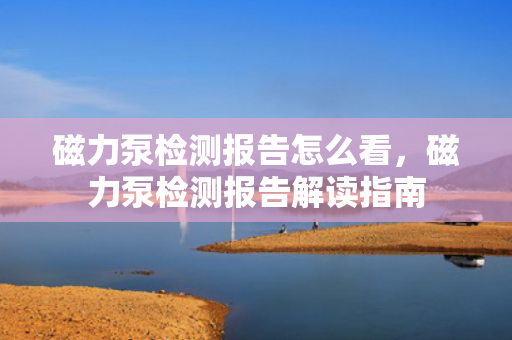 磁力泵检测报告怎么看，磁力泵检测报告解读指南