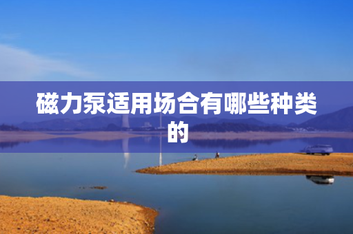 磁力泵适用场合有哪些种类的