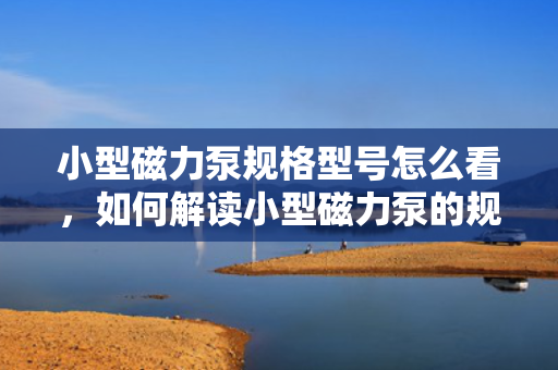 小型磁力泵规格型号怎么看，如何解读小型磁力泵的规格型号