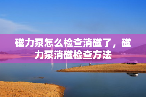 磁力泵怎么检查消磁了，磁力泵消磁检查方法