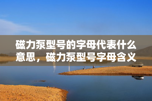 磁力泵型号的字母代表什么意思，磁力泵型号字母含义解析