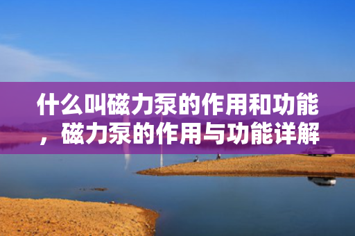 什么叫磁力泵的作用和功能，磁力泵的作用与功能详解