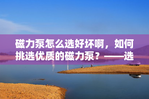 磁力泵怎么选好坏啊，如何挑选优质的磁力泵？——选购指南