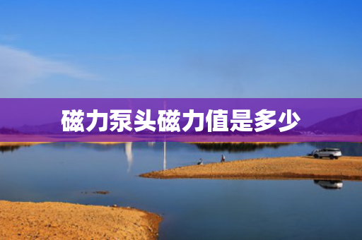 磁力泵头磁力值是多少