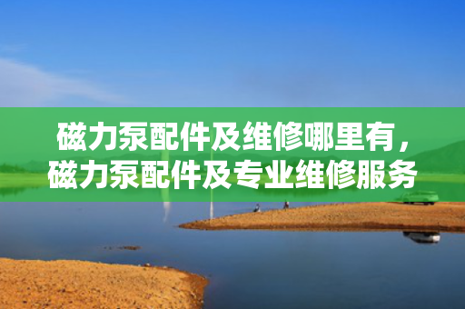 磁力泵配件及维修哪里有，磁力泵配件及专业维修服务一站式解决方案