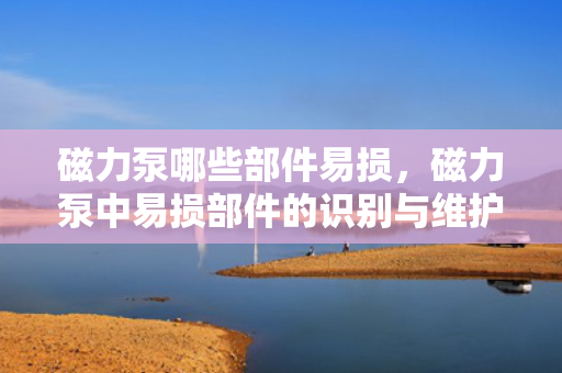 磁力泵哪些部件易损，磁力泵中易损部件的识别与维护