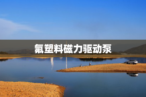 氟塑料磁力驱动泵