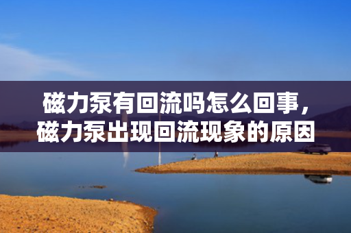 磁力泵有回流吗怎么回事，磁力泵出现回流现象的原因及解决方法