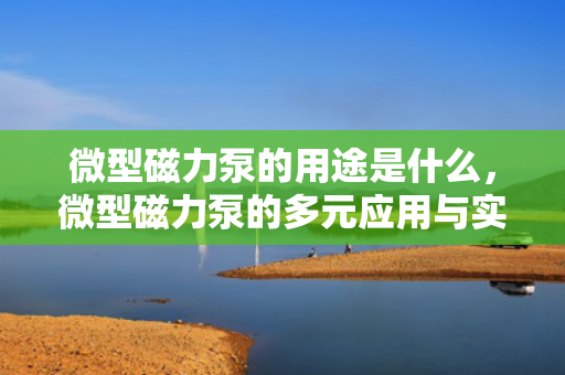 微型磁力泵的用途是什么，微型磁力泵的多元应用与实用性解析