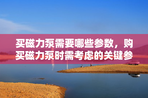 买磁力泵需要哪些参数，购买磁力泵时需考虑的关键参数一览