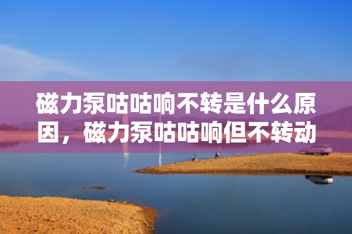 磁力泵咕咕响不转是什么原因，磁力泵咕咕响但不转动的故障解析