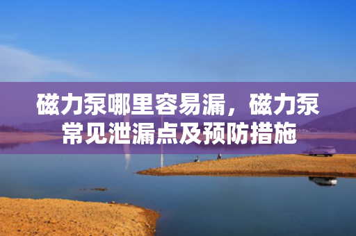 磁力泵哪里容易漏，磁力泵常见泄漏点及预防措施
