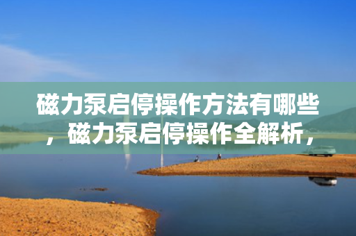 磁力泵启停操作方法有哪些，磁力泵启停操作全解析，步骤与方法一览