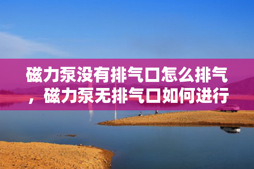 磁力泵没有排气口怎么排气，磁力泵无排气口如何进行有效排气