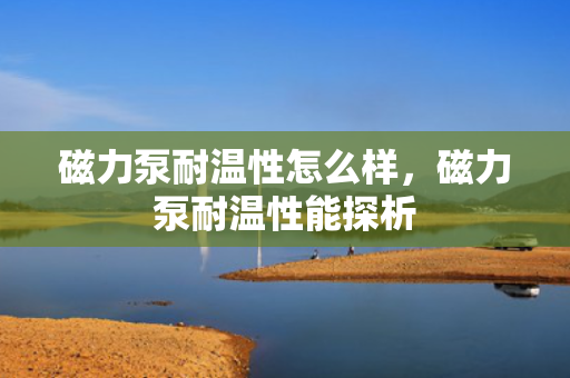 磁力泵耐温性怎么样，磁力泵耐温性能探析