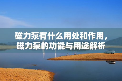 磁力泵有什么用处和作用，磁力泵的功能与用途解析