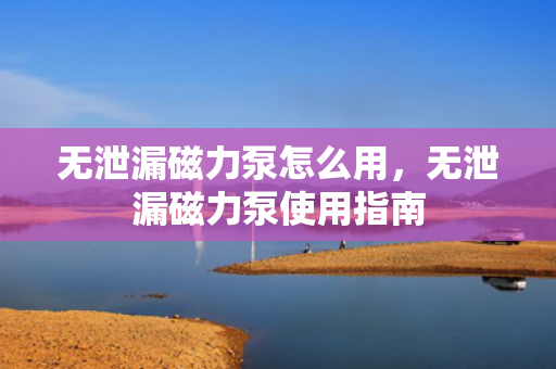 无泄漏磁力泵怎么用，无泄漏磁力泵使用指南