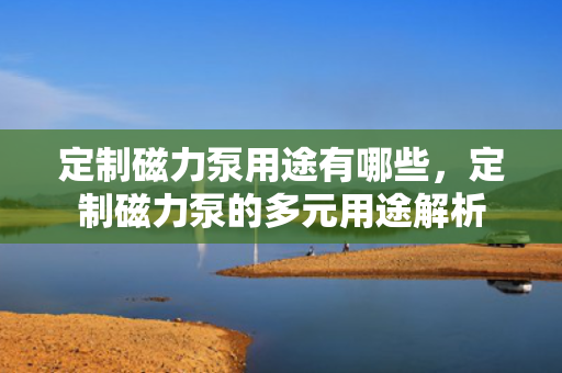 定制磁力泵用途有哪些，定制磁力泵的多元用途解析