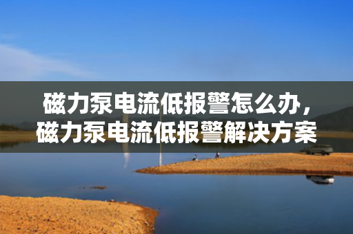 磁力泵电流低报警怎么办，磁力泵电流低报警解决方案