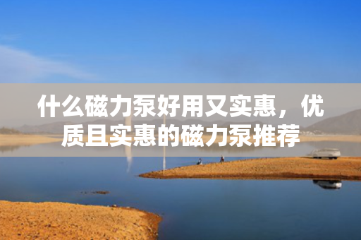 什么磁力泵好用又实惠，优质且实惠的磁力泵推荐