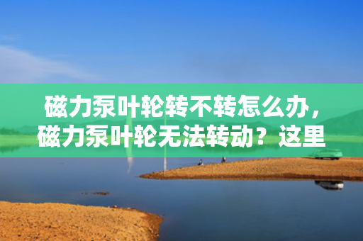 磁力泵叶轮转不转怎么办，磁力泵叶轮无法转动？这里有一份解决方案！