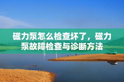 磁力泵怎么检查坏了，磁力泵故障检查与诊断方法