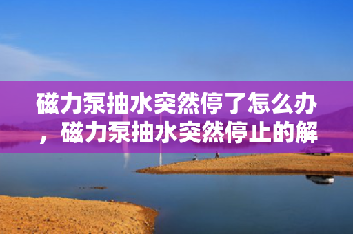 磁力泵抽水突然停了怎么办，磁力泵抽水突然停止的解决方法