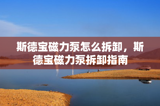 斯德宝磁力泵怎么拆卸，斯德宝磁力泵拆卸指南