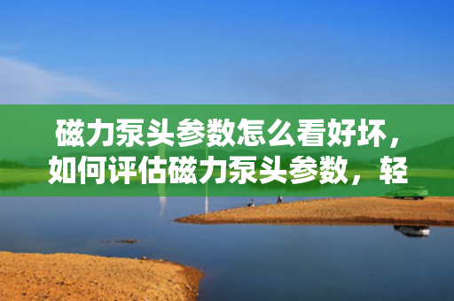 磁力泵头参数怎么看好坏，如何评估磁力泵头参数，轻松辨别好坏？