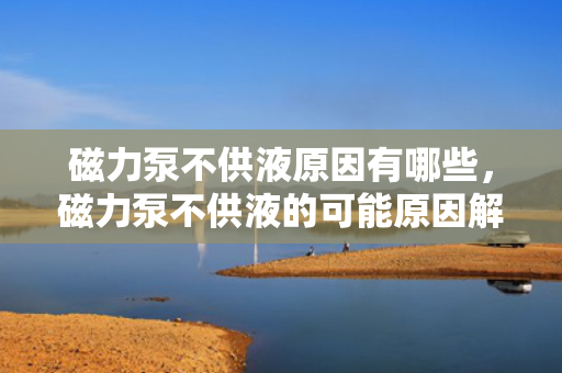 磁力泵不供液原因有哪些，磁力泵不供液的可能原因解析