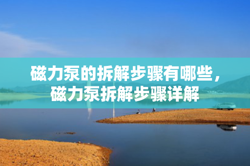 磁力泵的拆解步骤有哪些，磁力泵拆解步骤详解