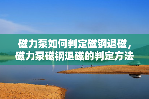 磁力泵如何判定磁钢退磁，磁力泵磁钢退磁的判定方法与技巧