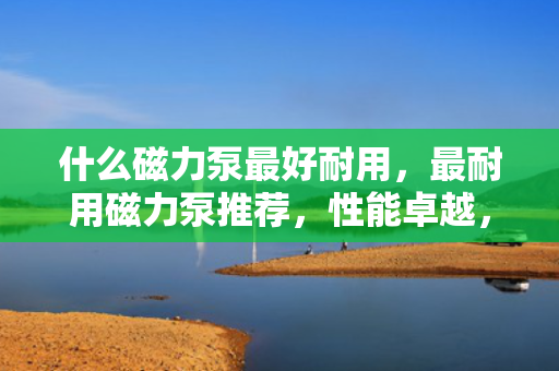 什么磁力泵最好耐用，最耐用磁力泵推荐，性能卓越，经久耐用的磁力泵选择